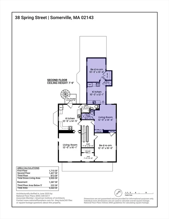 38 Spring, Spring Hill