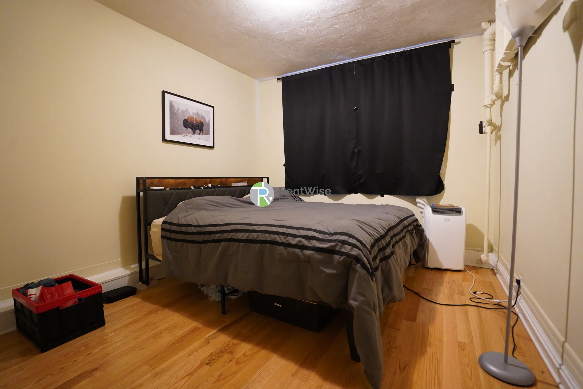 45 Chestnut Hill Ave, Brighton