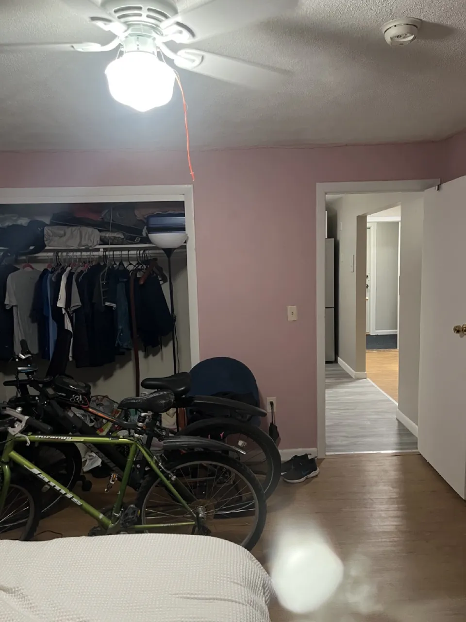 15 Walbridge St, Brighton