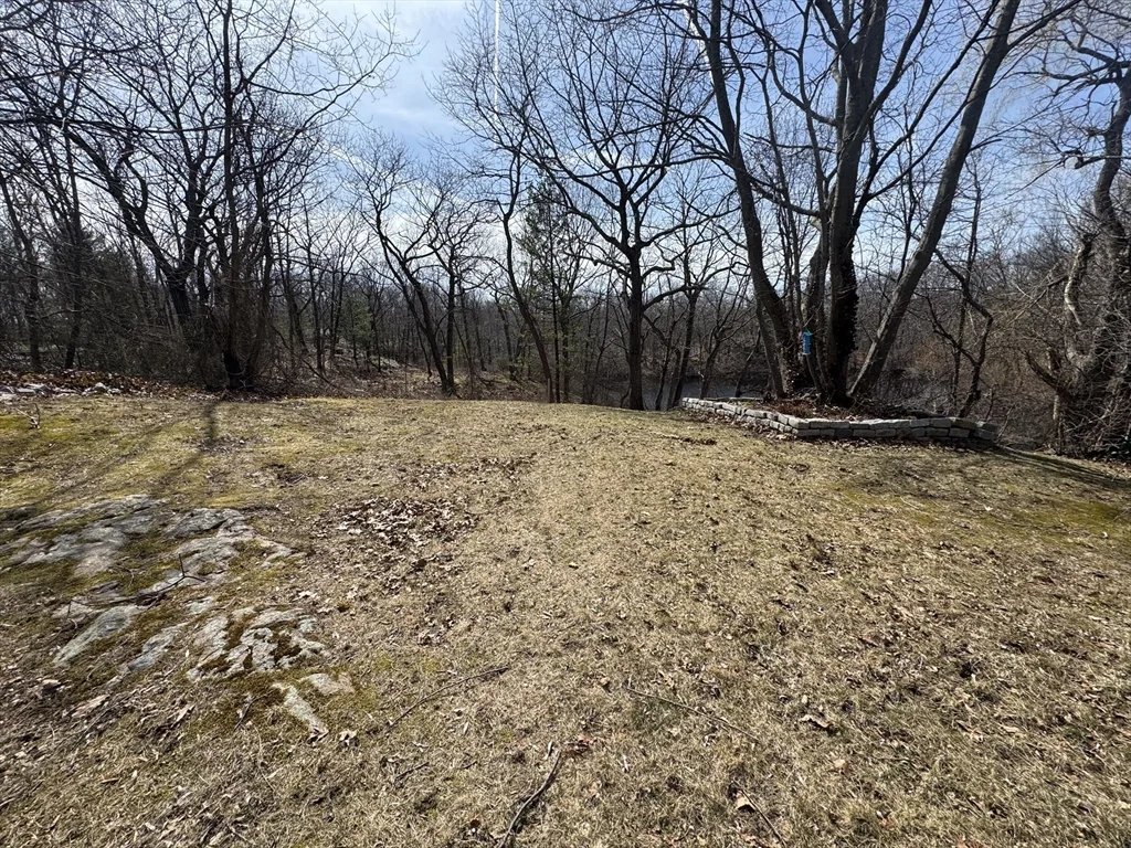 15 Curlew St, West Roxbury