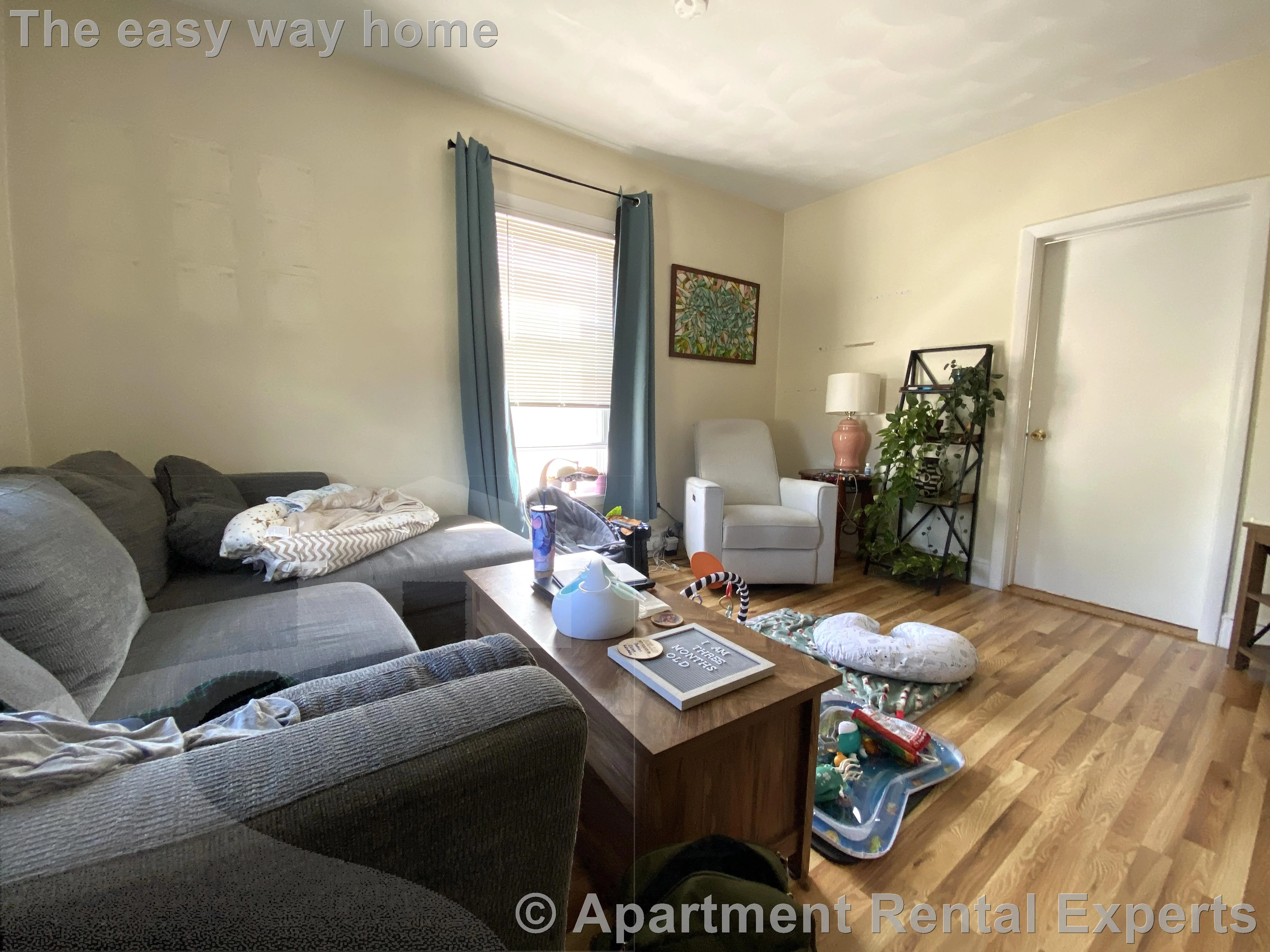 57 Bishop Allen Dr, Central Square