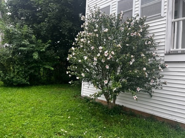 9 Loring St, Belmont