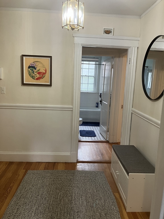 43 Linnaean St, Neighborhood Nine