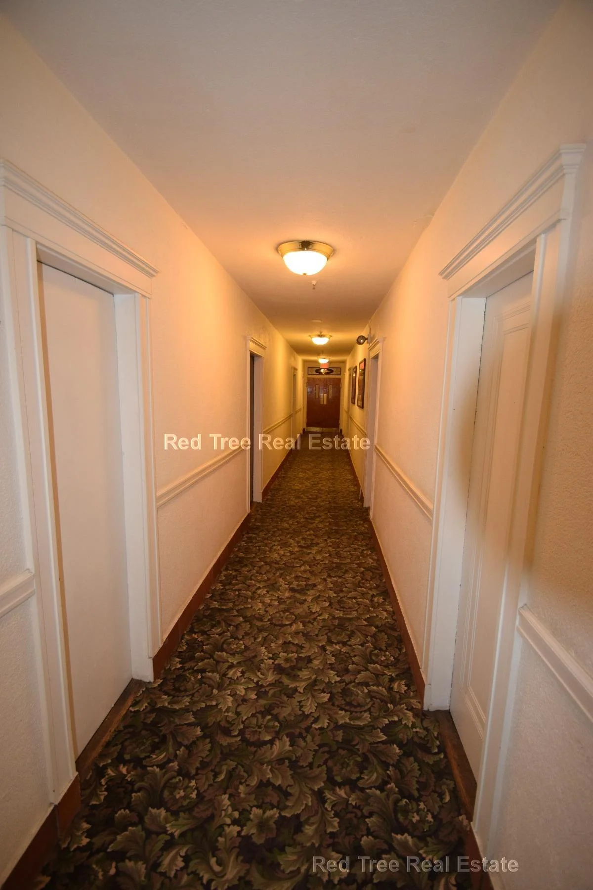 117 Park Dr, Fenway