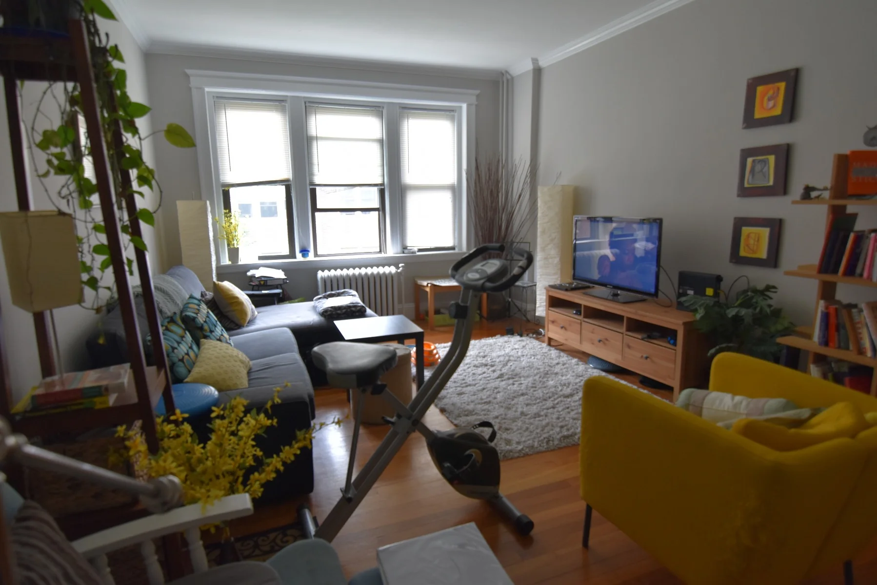 9 Greenway Ct, Coolidge Corner