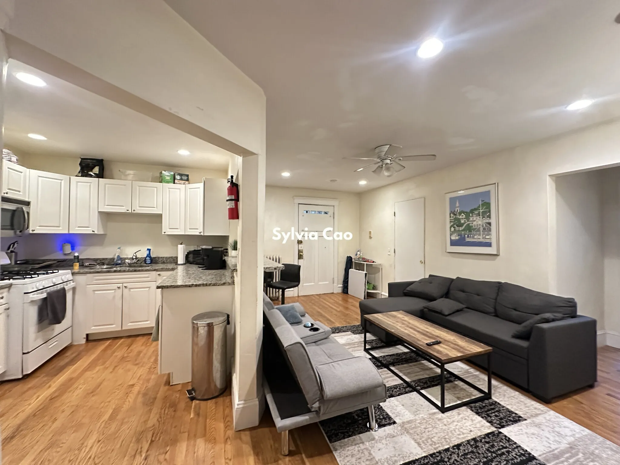 56 Egmont St, North Brookline