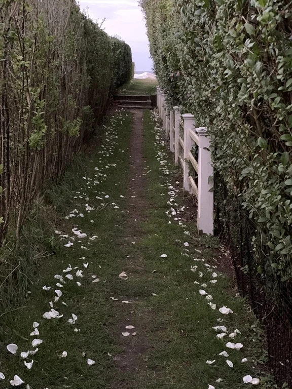 66 Hulbert Avenue North House, Nantucket