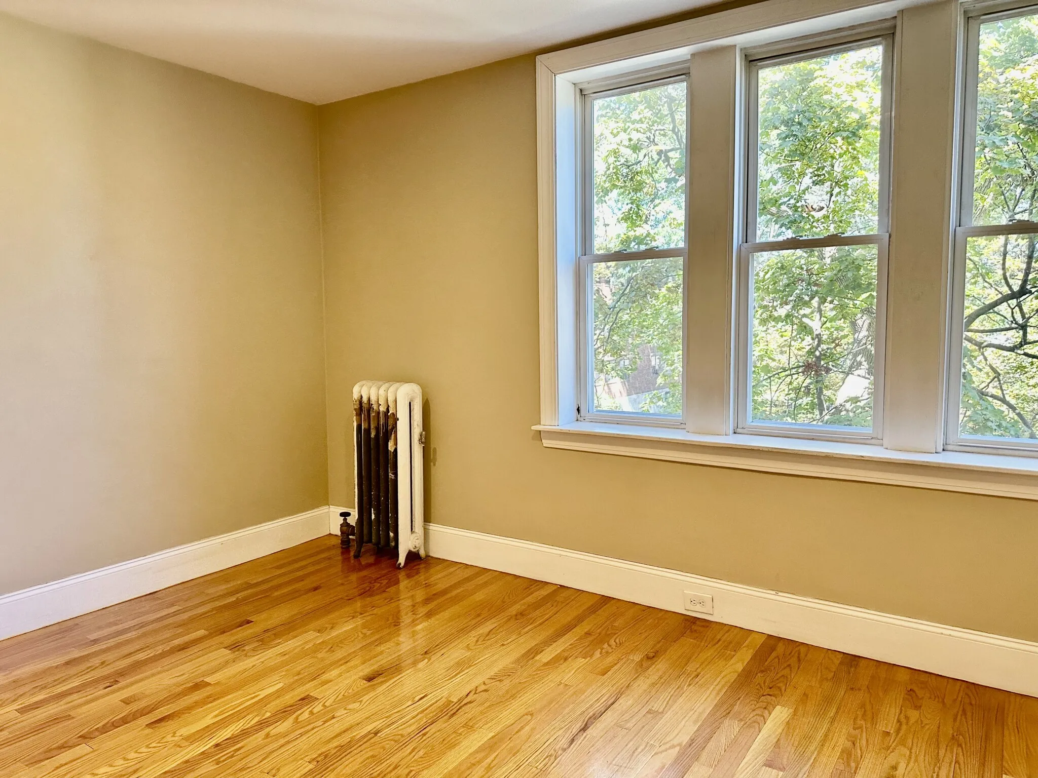 74 Egmont St, North Brookline