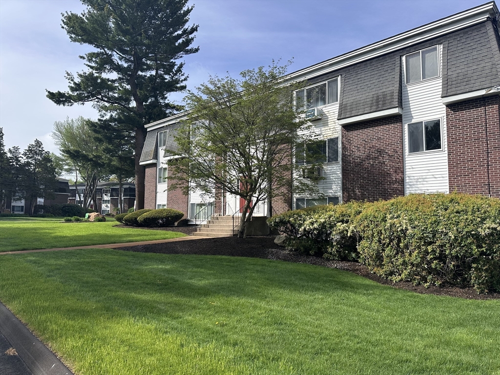 41 Will, Canton Junction