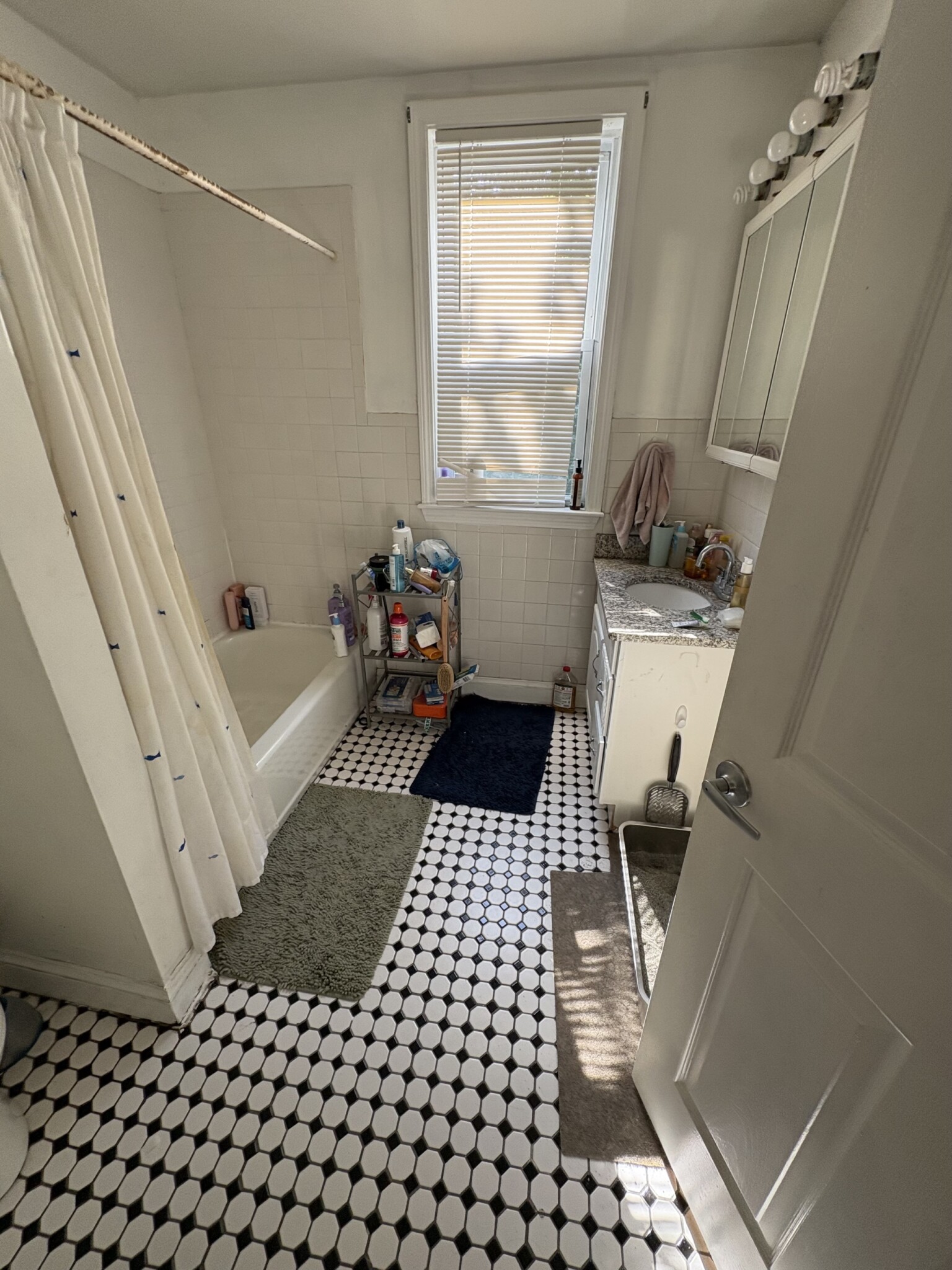 22 Fisher Ave, Mission Hill