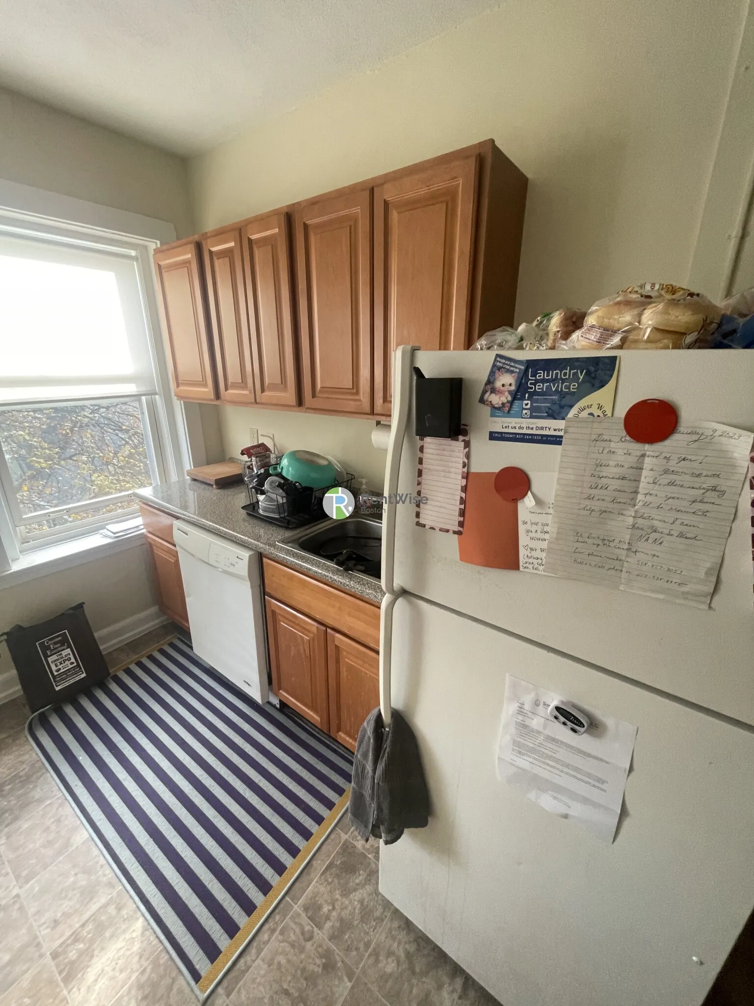 230 South St, Jamaica Plain