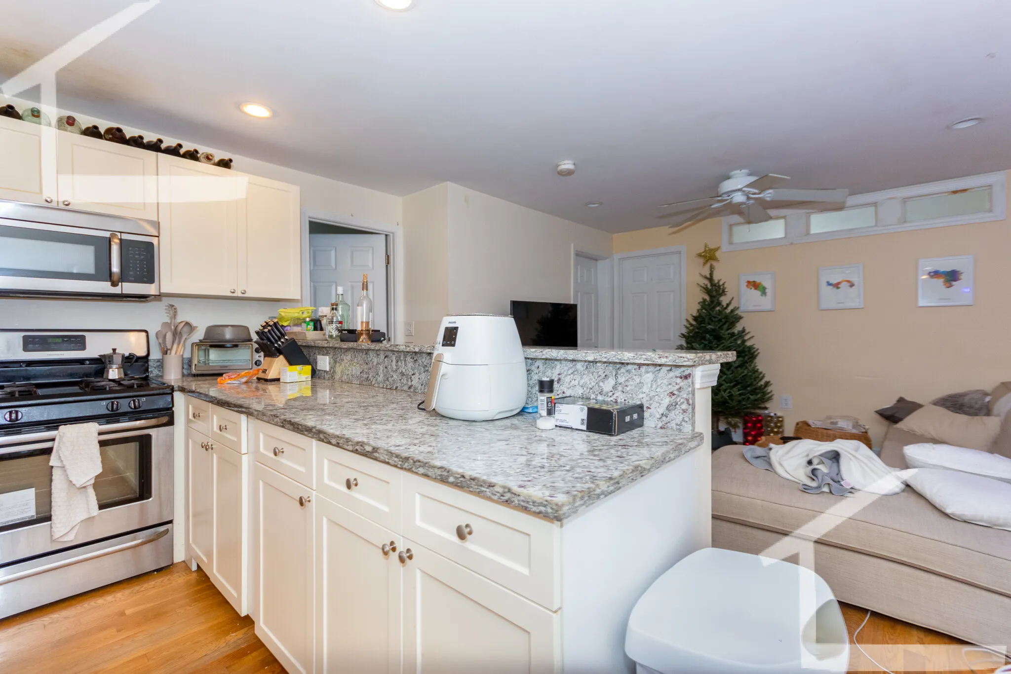 56 Egmont St, North Brookline