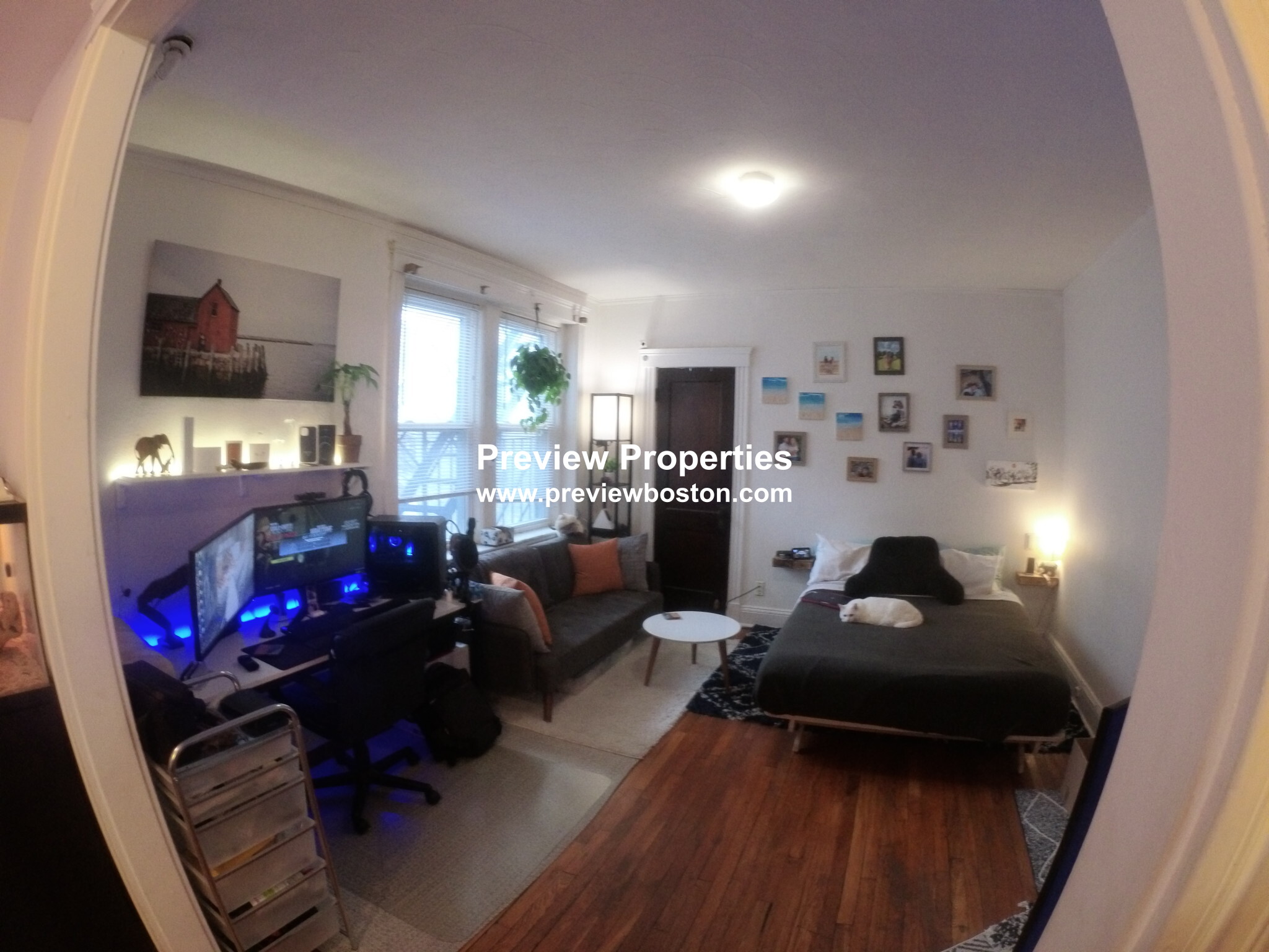 1450 Commonwealth Ave, Brighton