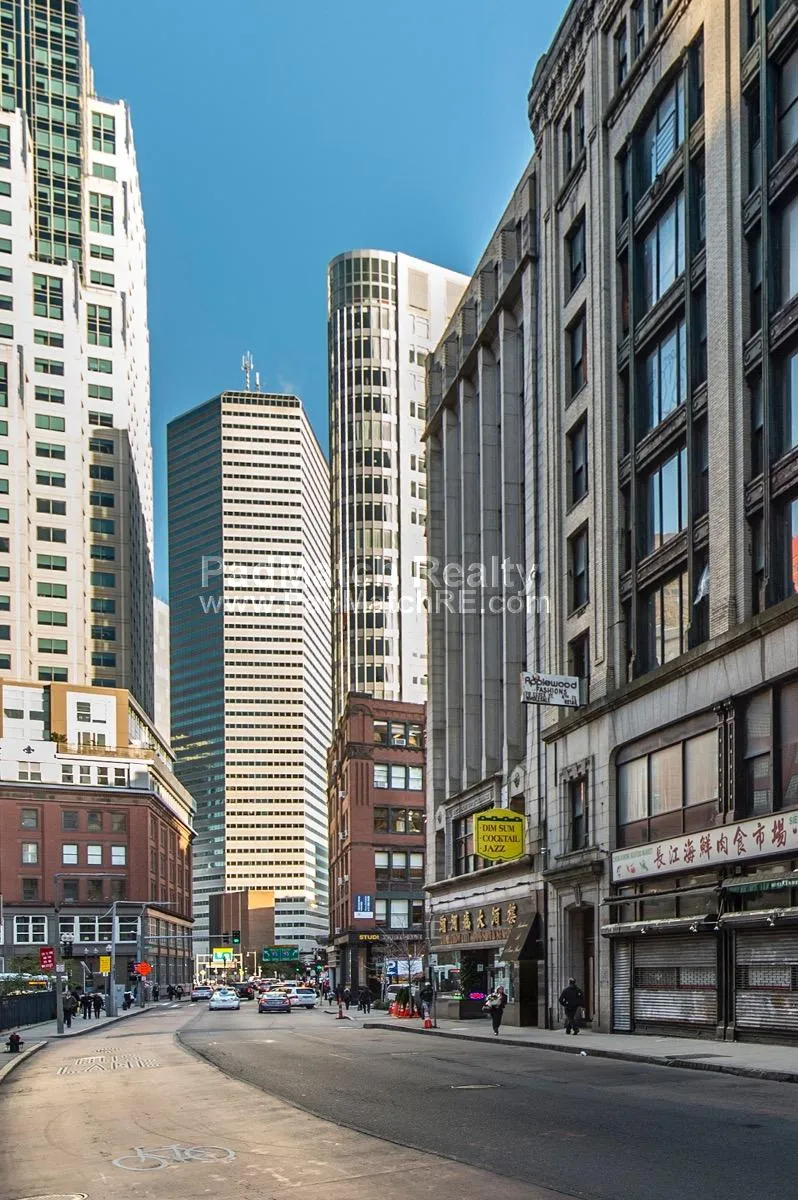 81 Essex St, Chinatown