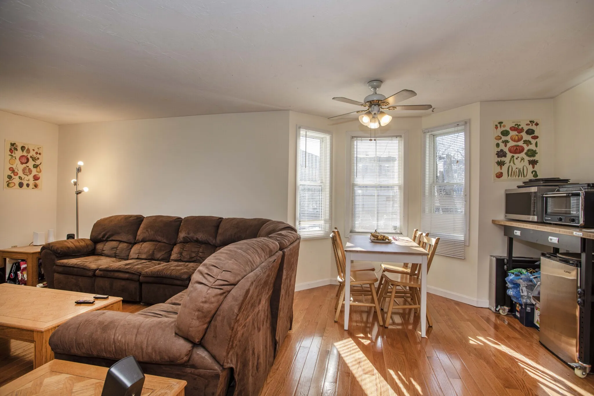 1 Terrace St, Mission Hill