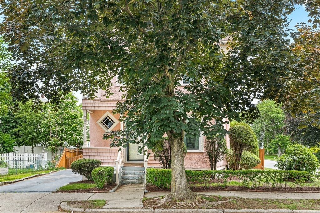 29 Harvard St, Winchester