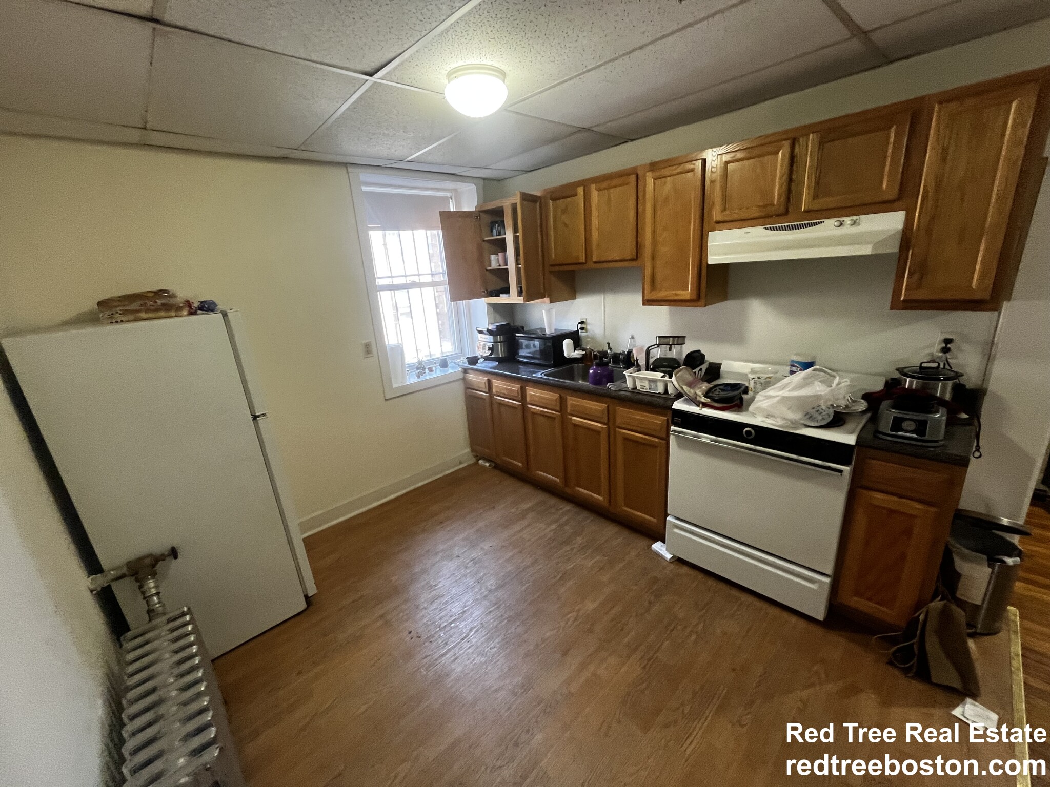 66 Chiswick Rd, Brighton