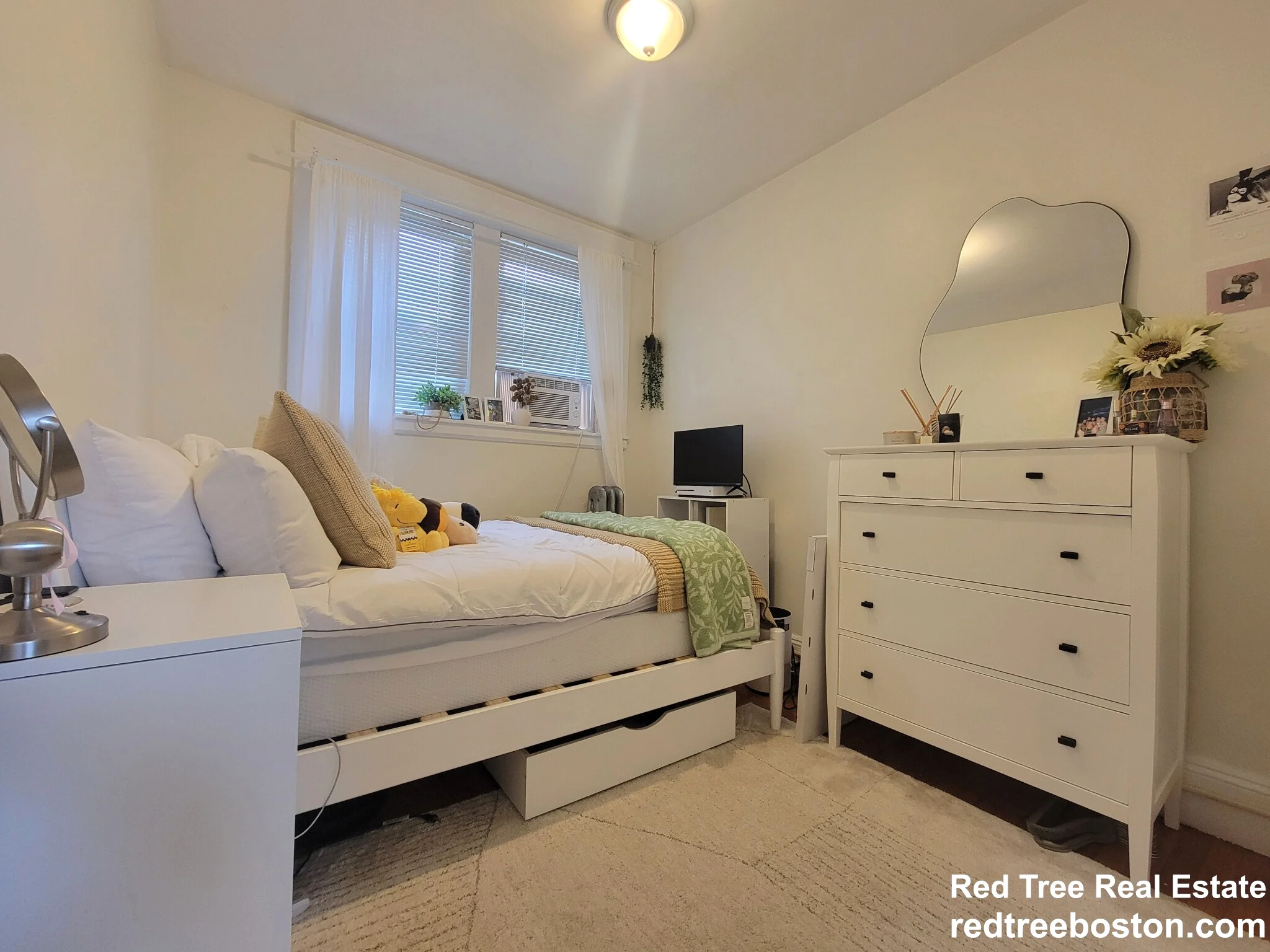 60 Egmont St, North Brookline