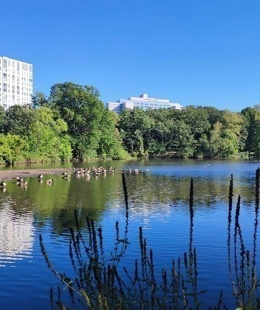 175 High St, Brookline