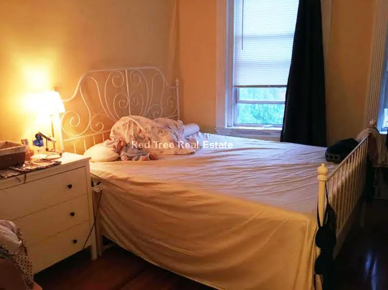 31 Orkney Rd, Brighton