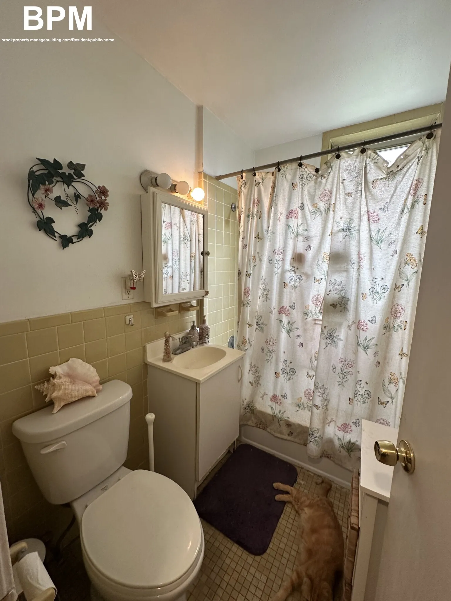 20 Colborne Rd, Brighton
