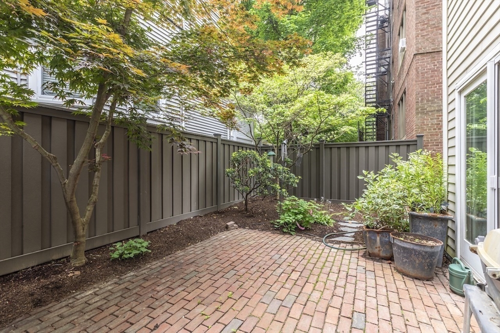 54 Trowbridge, Mid-Cambridge