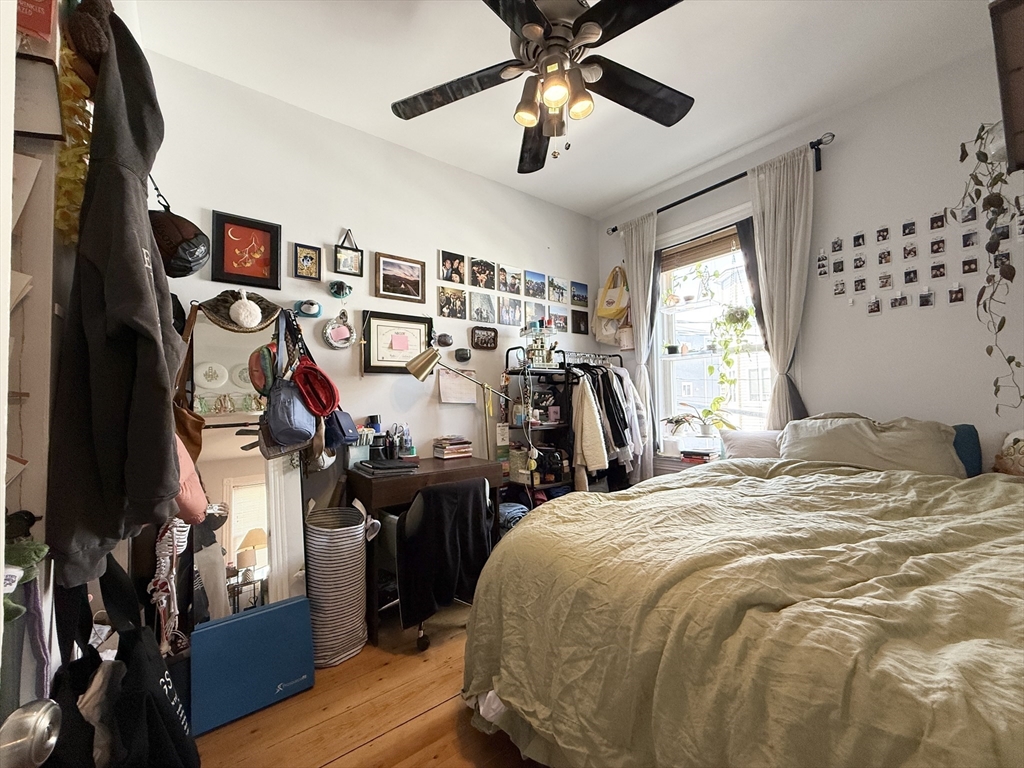 252 Elm St, Wellington-Harrington