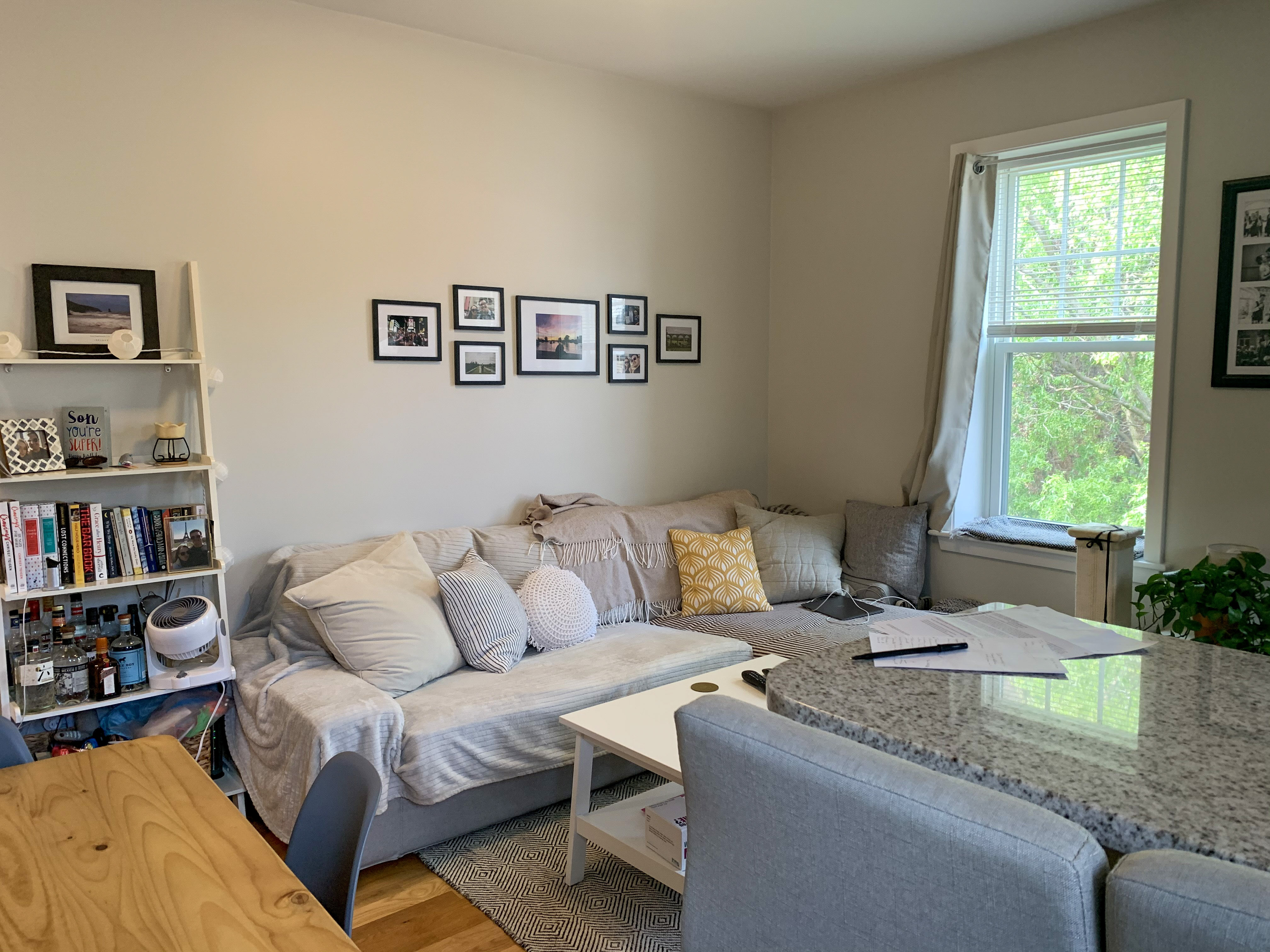 33 Anderson St, Beacon Hill