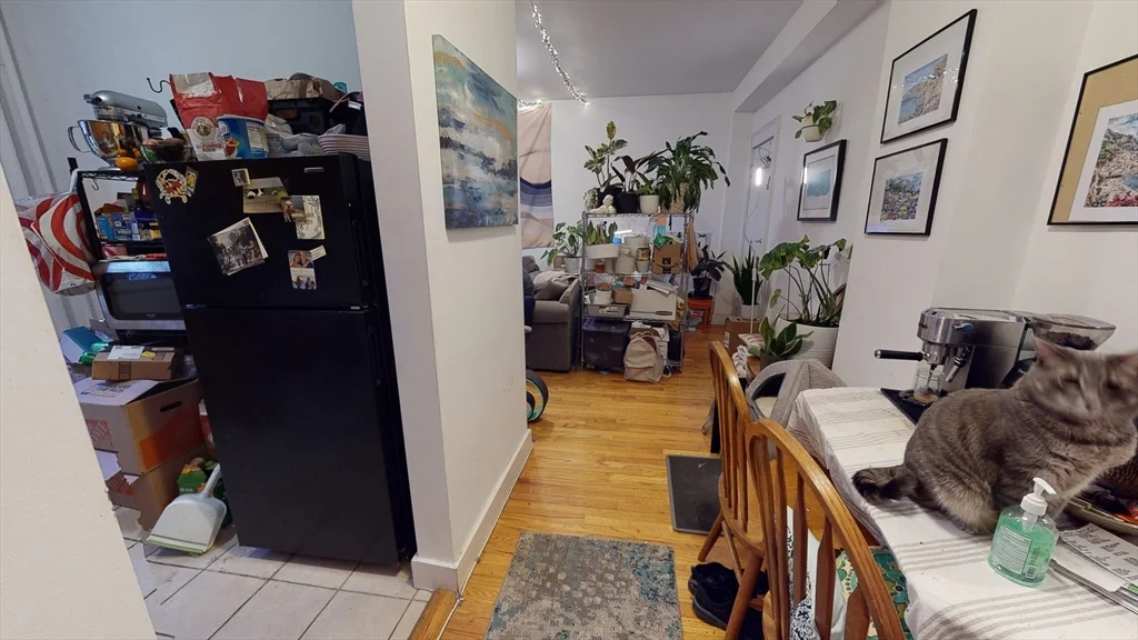 1099 Commonwealth Ave, Brighton