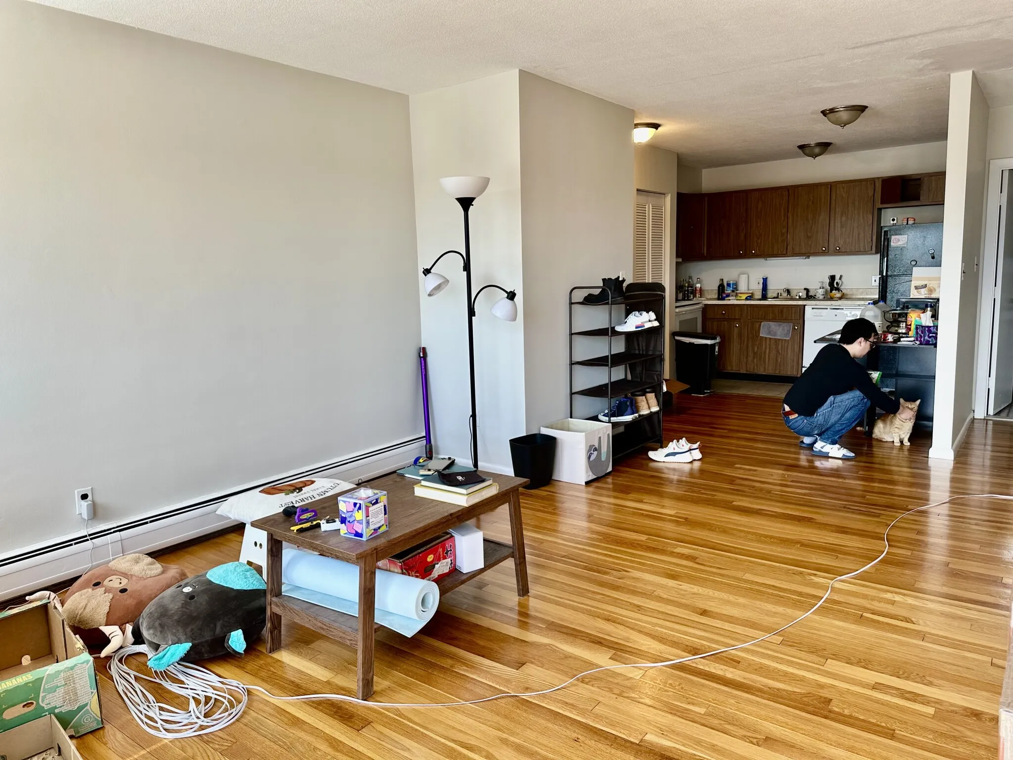 95 Sutherland Rd, Brighton