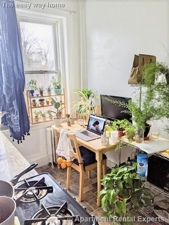 71 Martin St, Harvard Square