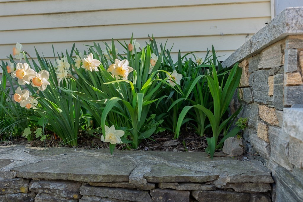 87 Harnden Ave, Watertown