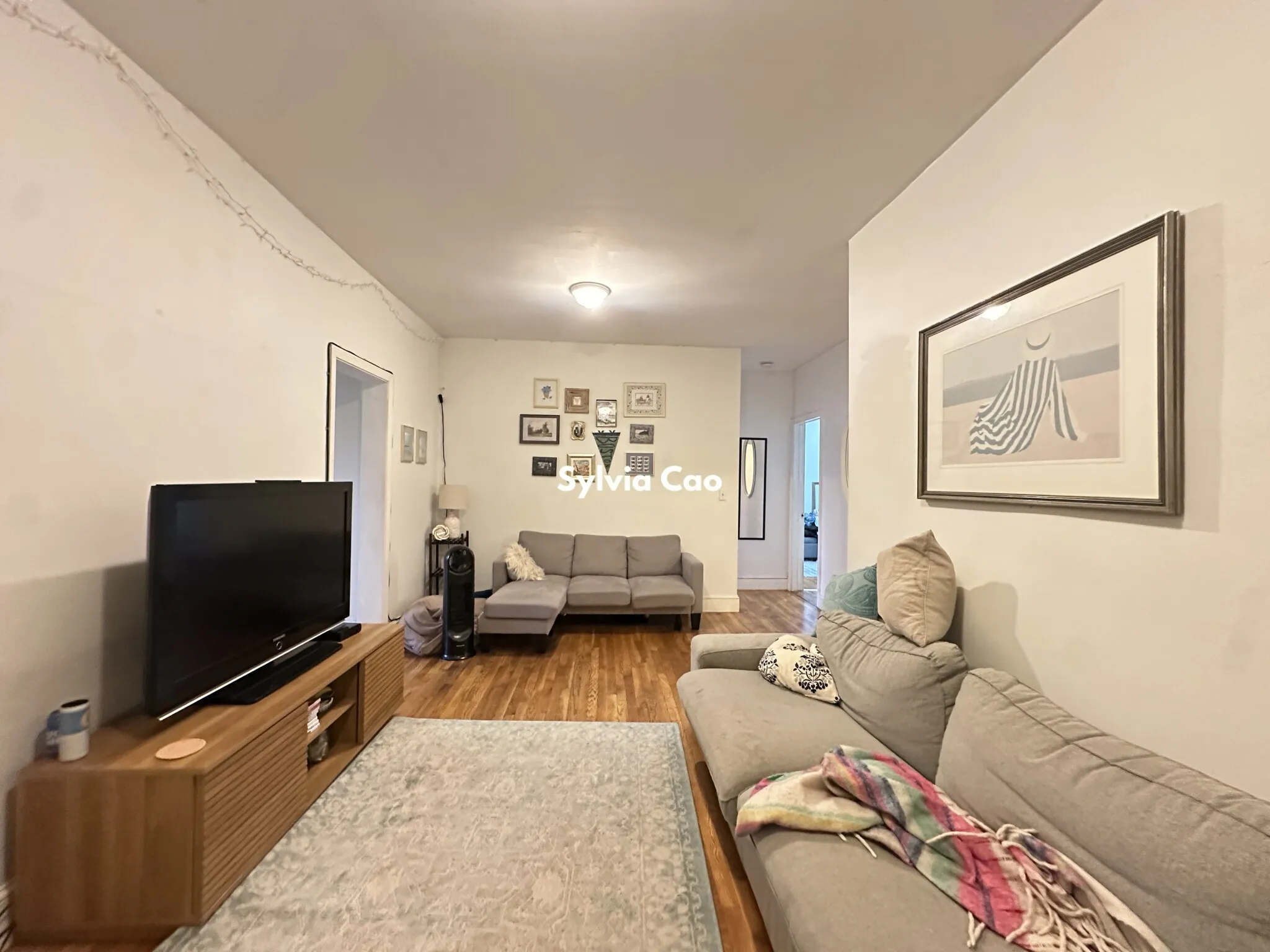 56 Egmont St, North Brookline