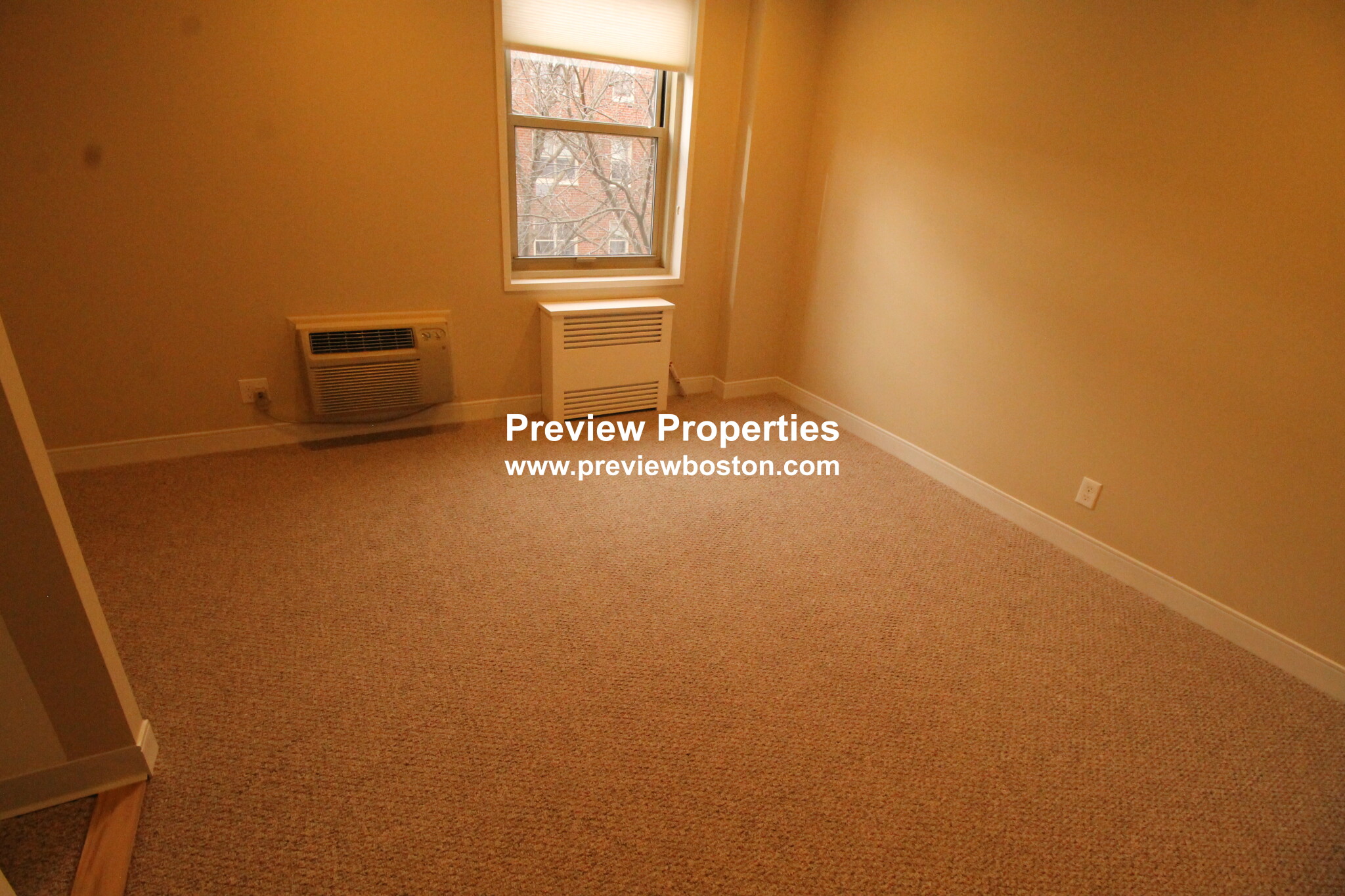 10 Camelot Ct, Brighton