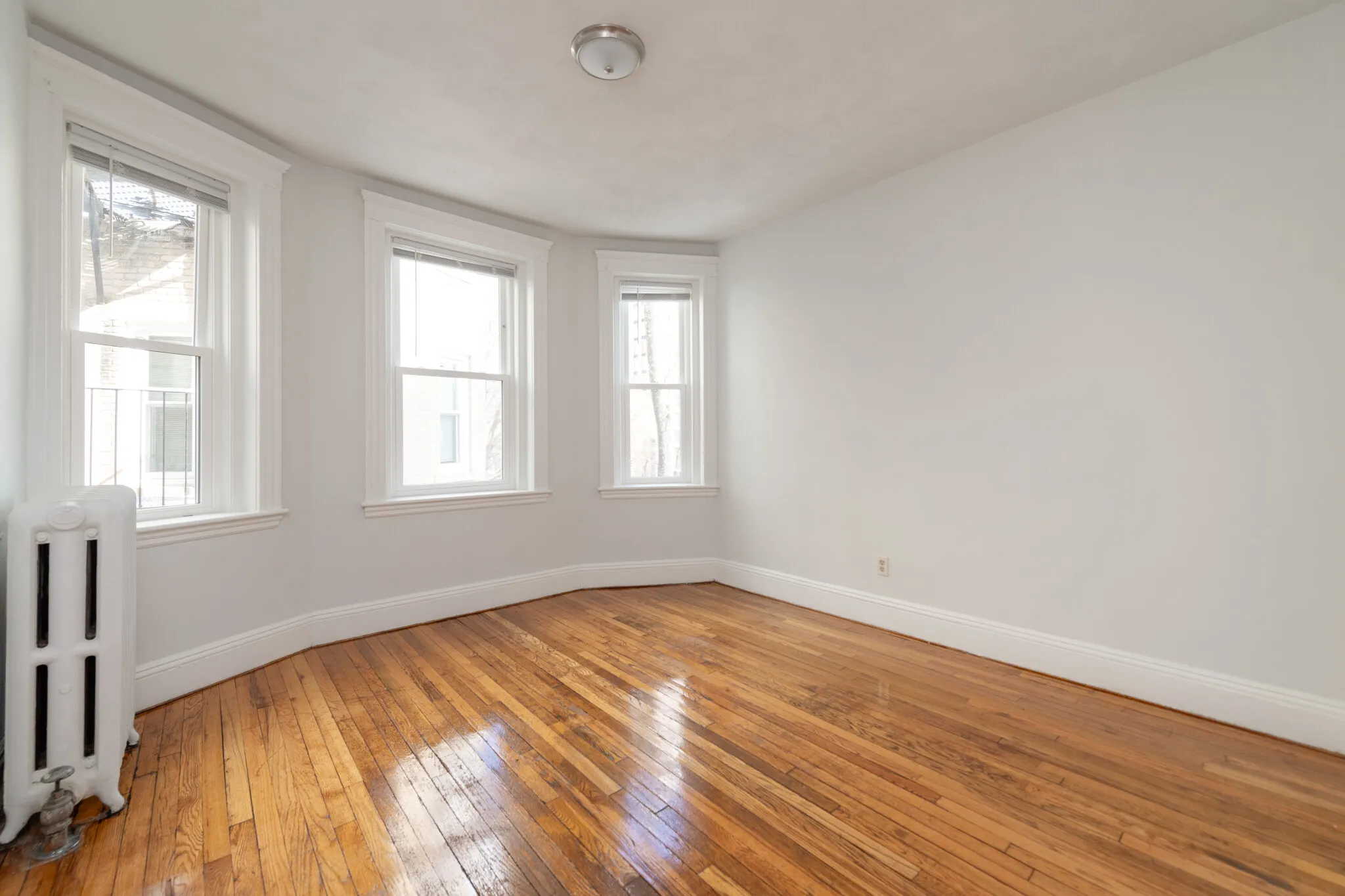 49 Worthington St, Mission Hill