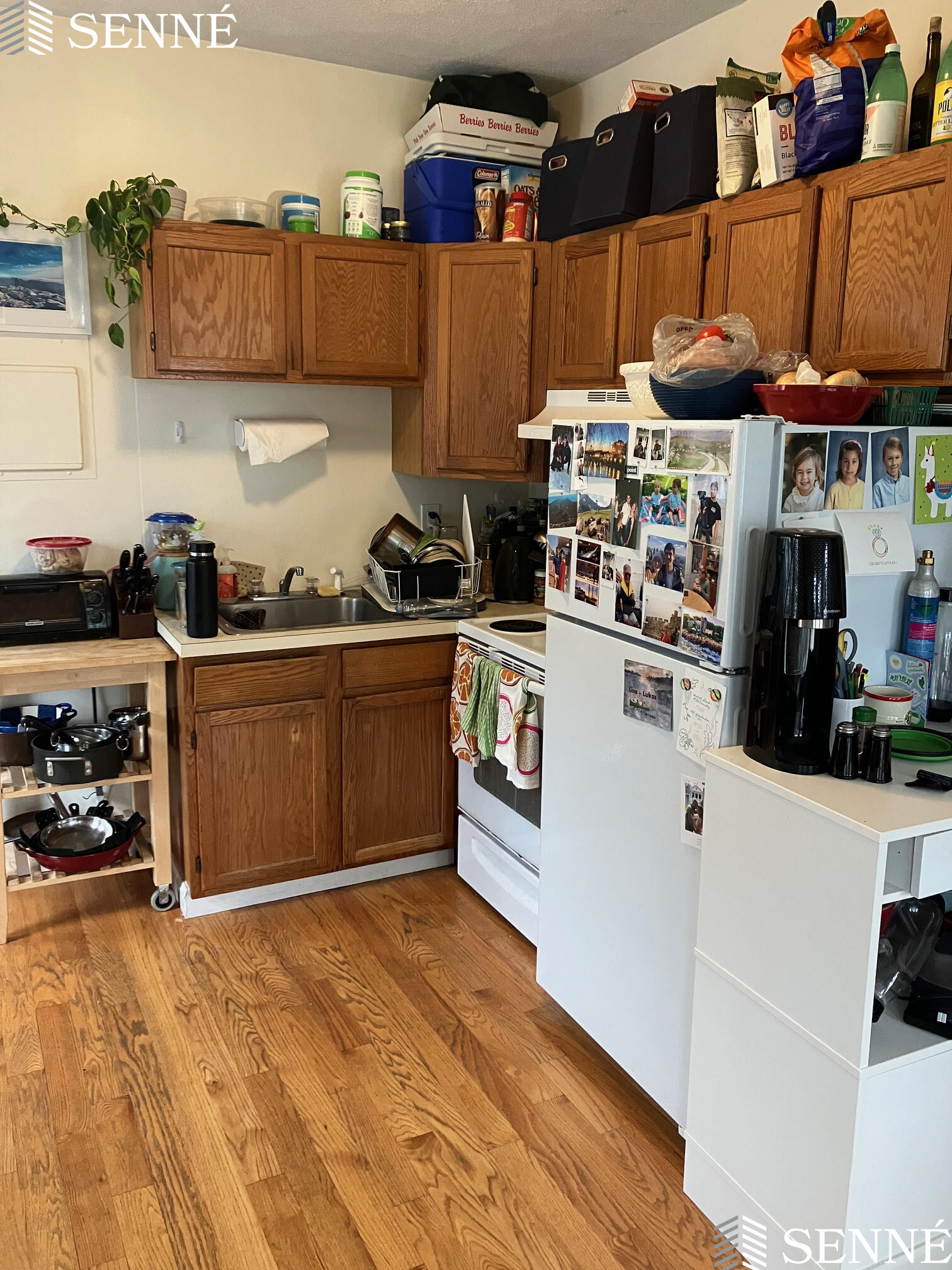 19 Linden Ave, Spring Hill