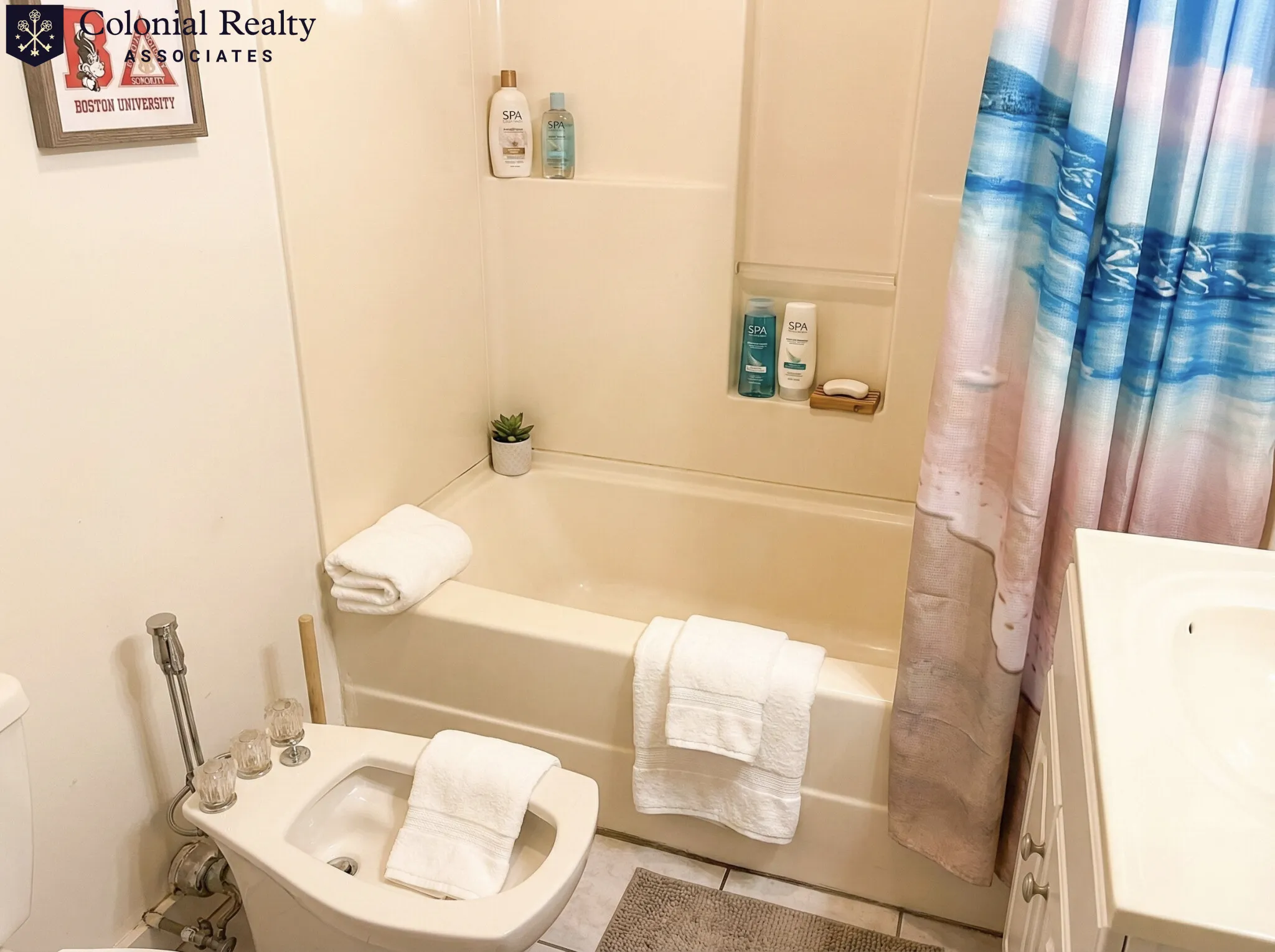 56 Egmont St, North Brookline