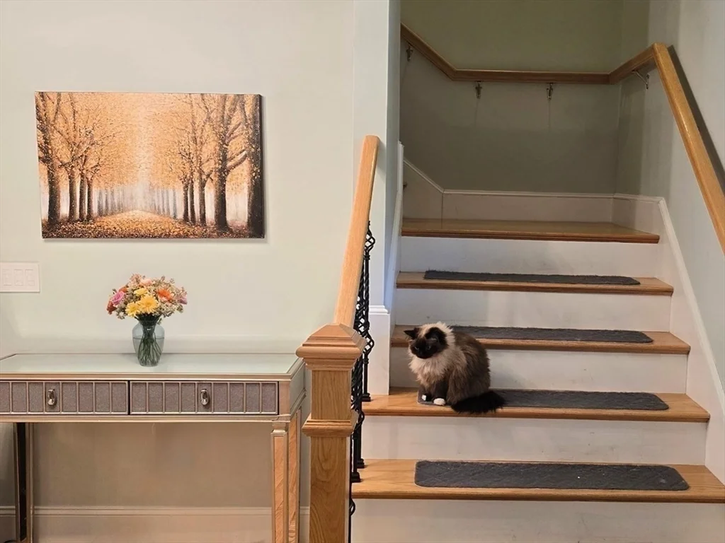 34 Fieldstone Dr, Burlington