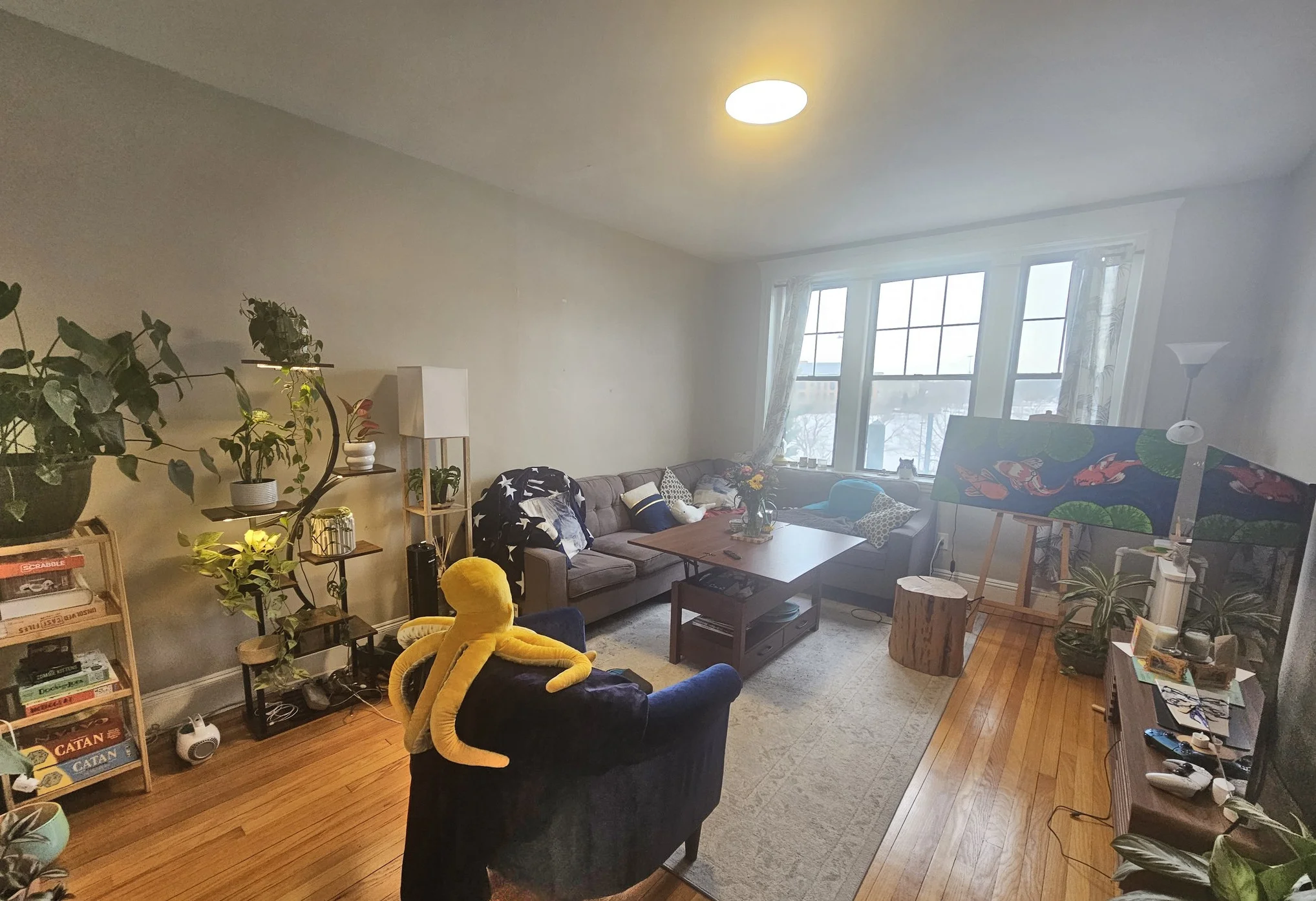 370 Chestnut Hill Ave, Brighton