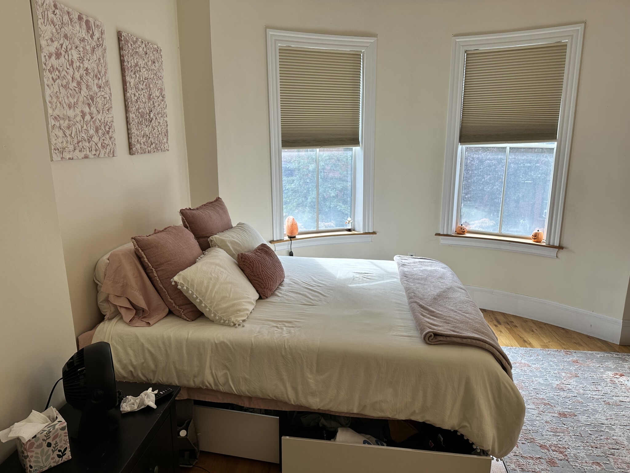 94 West Brookline St, South End