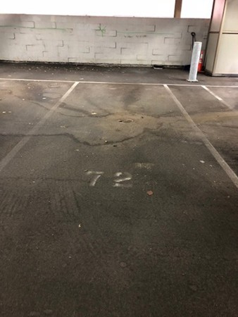 1600 Beacon St, Corey Hill