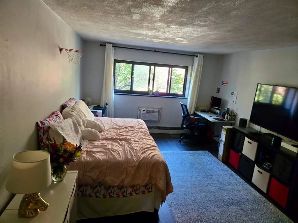 15 Walbridge St, Brighton