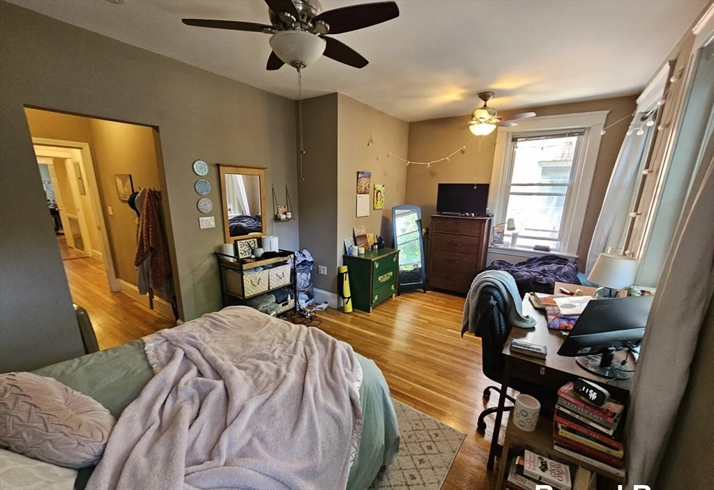 229 Freeman St, Coolidge Corner