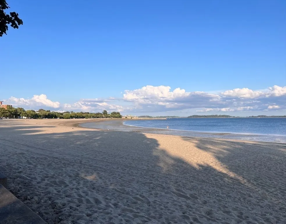 33 Ward St, South Boston