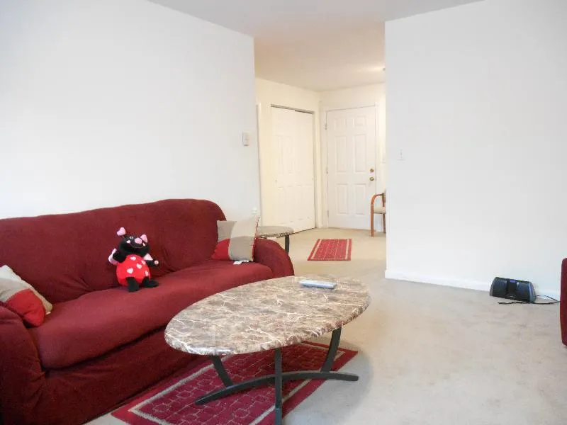 11 Embassy Rd, Brighton