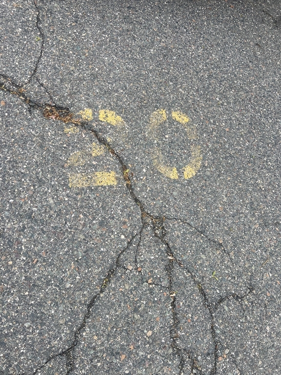 157 Franklin St, Stoneham