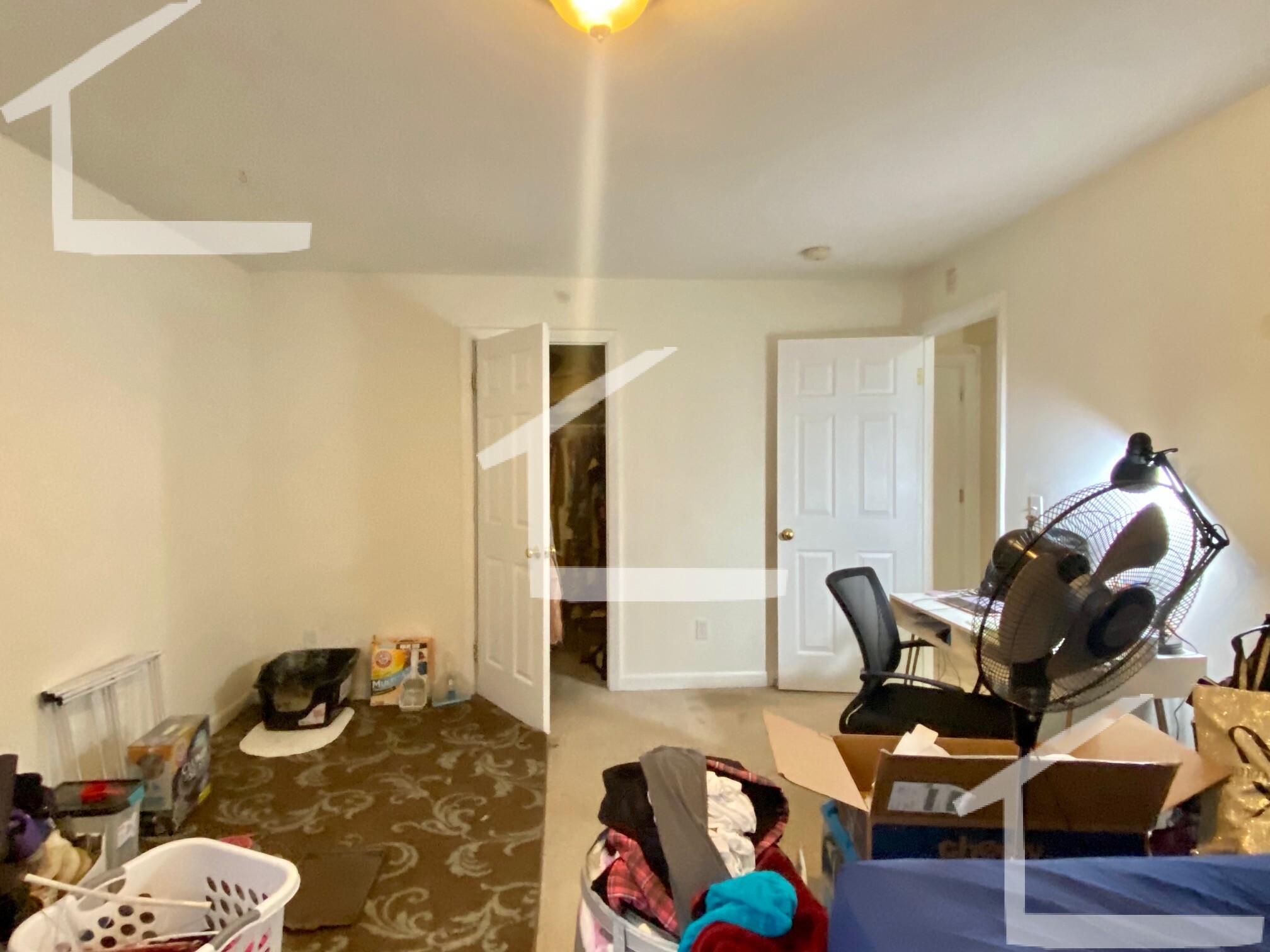 8 Griggs St, Brighton