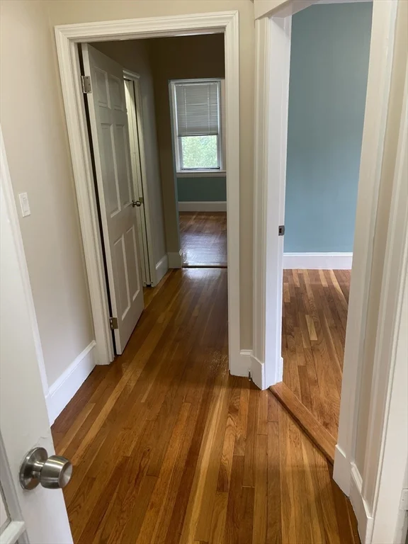 235 Freeman St, Coolidge Corner