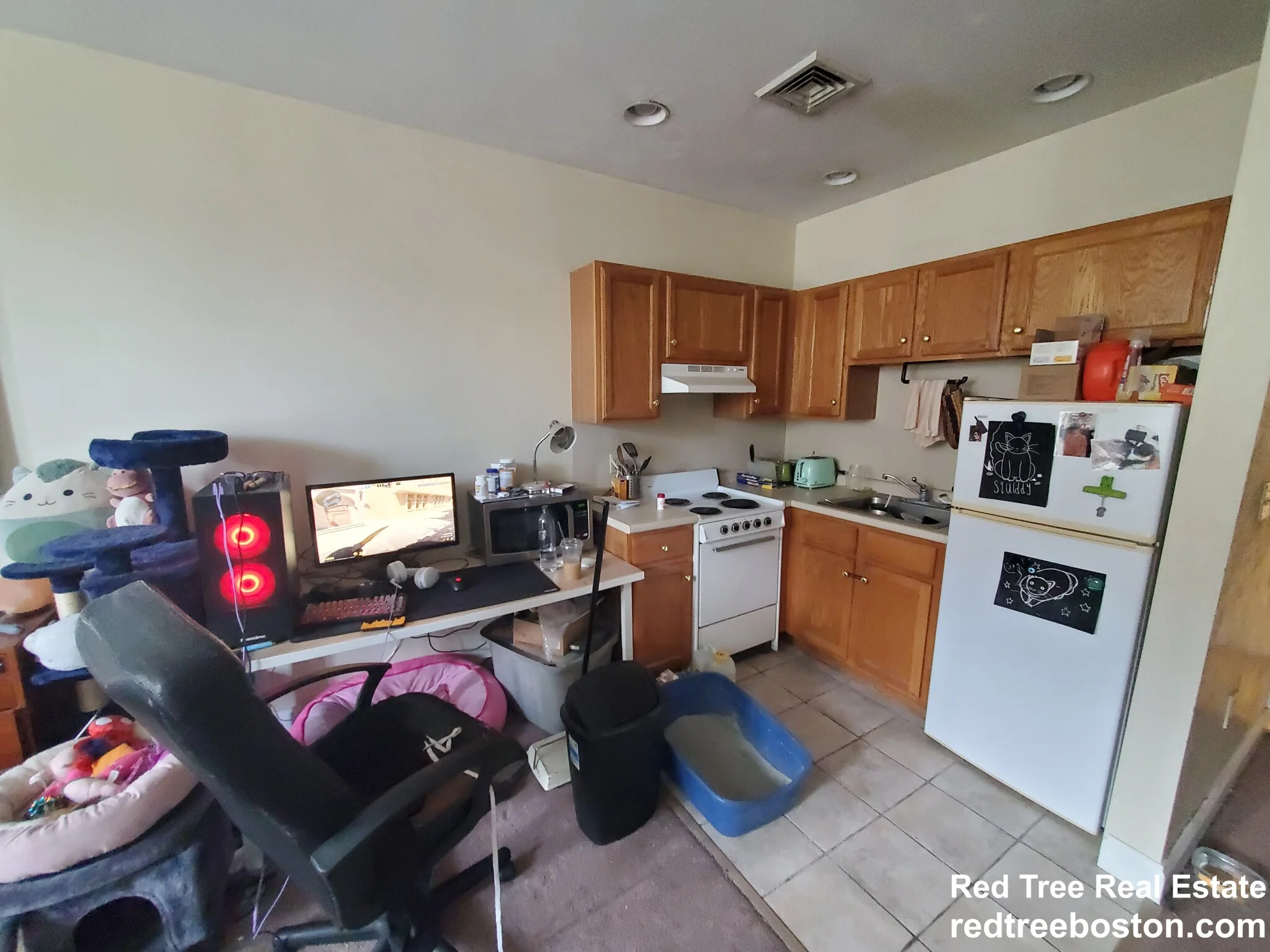 15 Pearl St, Cambridgeport