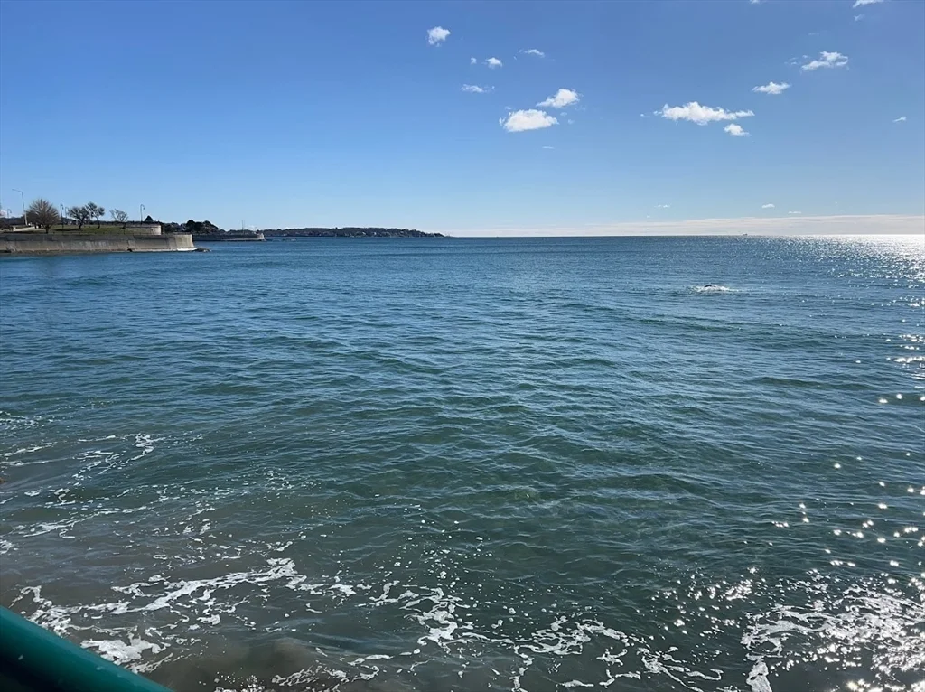 300 Lynn Shore Dr, Lynn